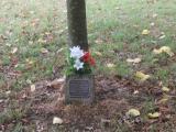 image of grave number 931254